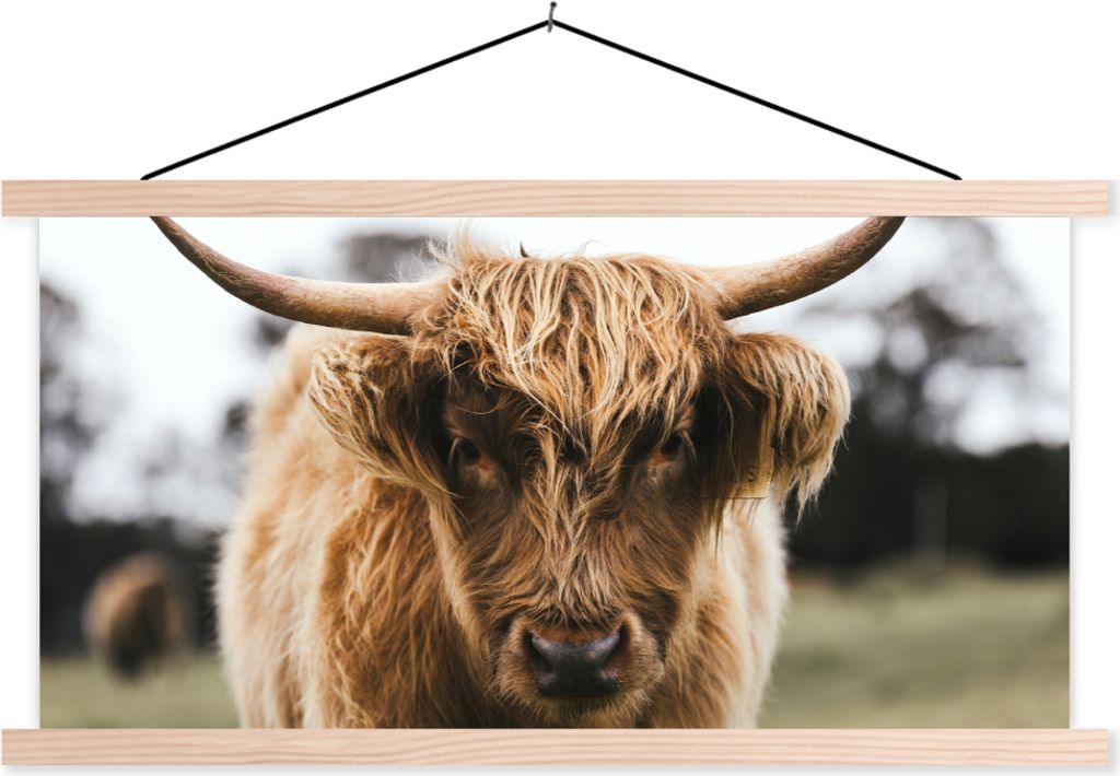 MuchoWow Textilposter Schottisches Hochlandrind - Kuh - Gras - Tiere - Natur 120x60 cm mit holzfarbenen Rahmen - Klemmleiste