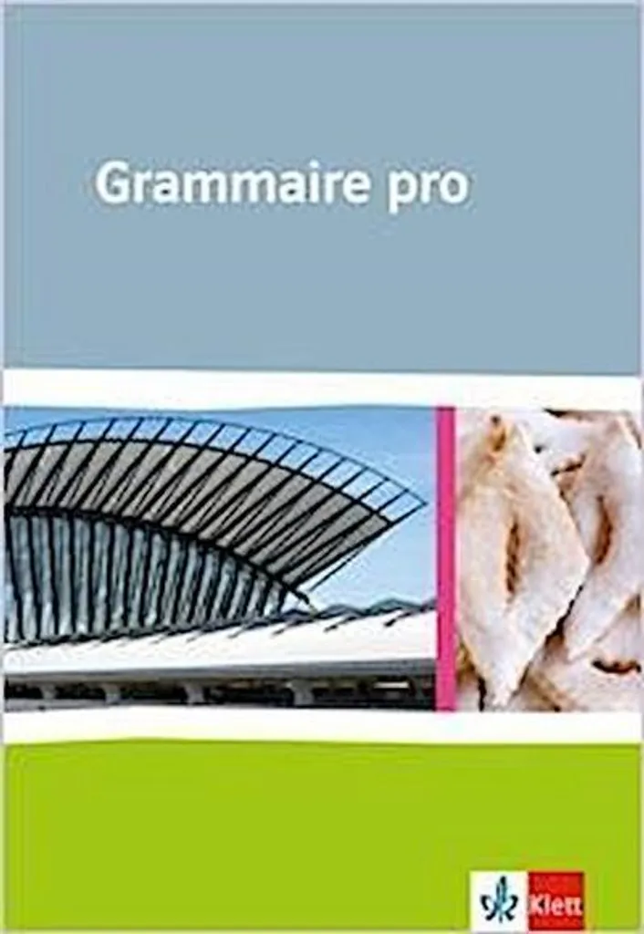 Livre de Grammaire Pro : Manuel de Référence pour la Rédaction de Textes