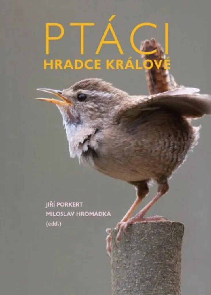Guide pour observation des oiseaux Ptáci Hradce Králové Porkert