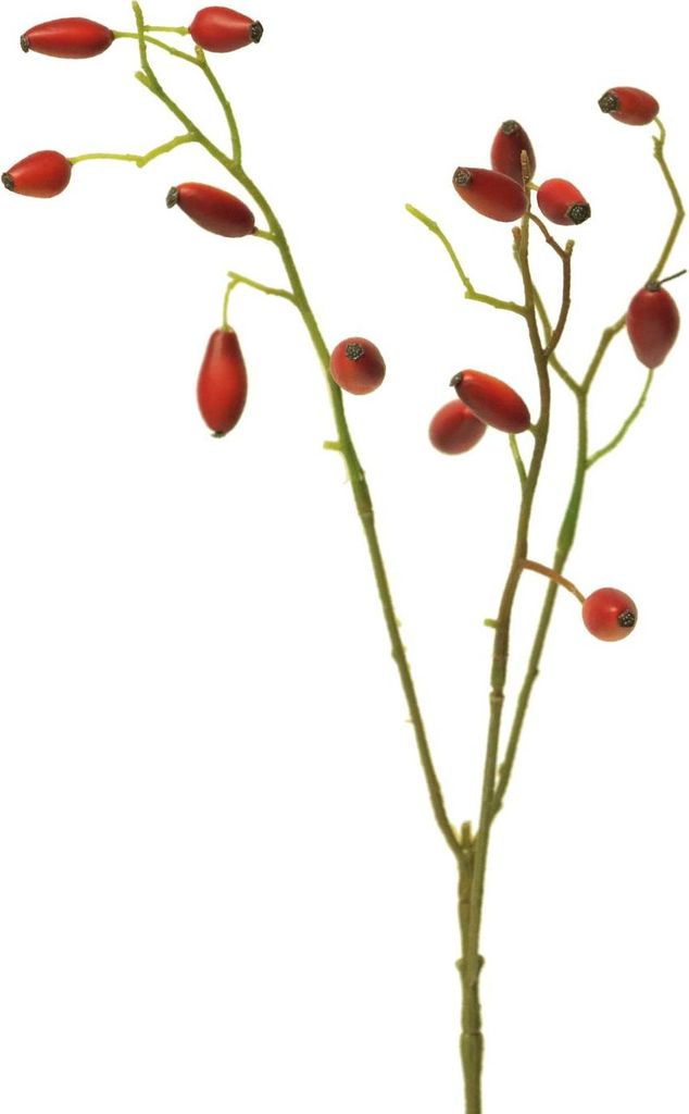 artplants.de Kunstzweig Heckenrose XINGRUI mit Hagebutten, rot, 45 cm - Künstliche Blume