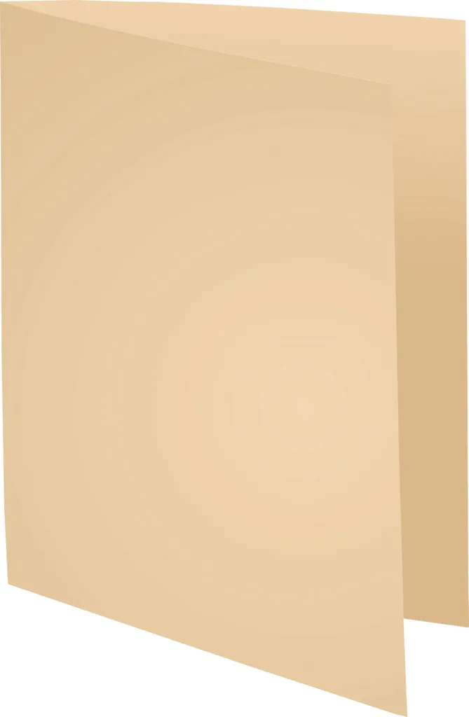 Chemises de classement 24x32 cm Exacompta Forever 170g coloris Bulle