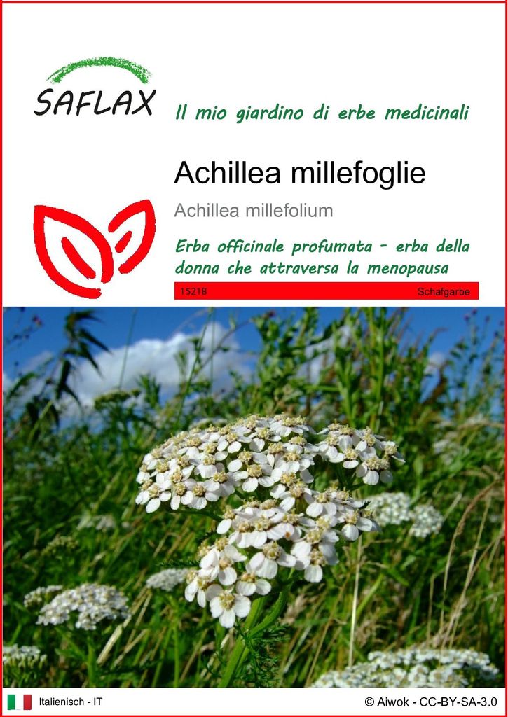 SAFLAX  - Achillea millefoglie - 200 semi - Achillea Immagine del prodotto 