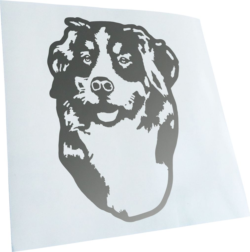 Kiwistar - Autoaufkleber - Bernese Mountain Dog Hund - Silber - 30x21cm - Aufkleber für Auto, Laptop, Fahrrad, LKW, Motorrad mehrfarbig JDM Decal ...