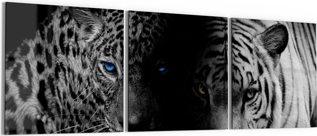 DEQORI Glasbild Echtglas 3x50x50 cm 'Leopard und Tiger' Wandbilder XXL groß