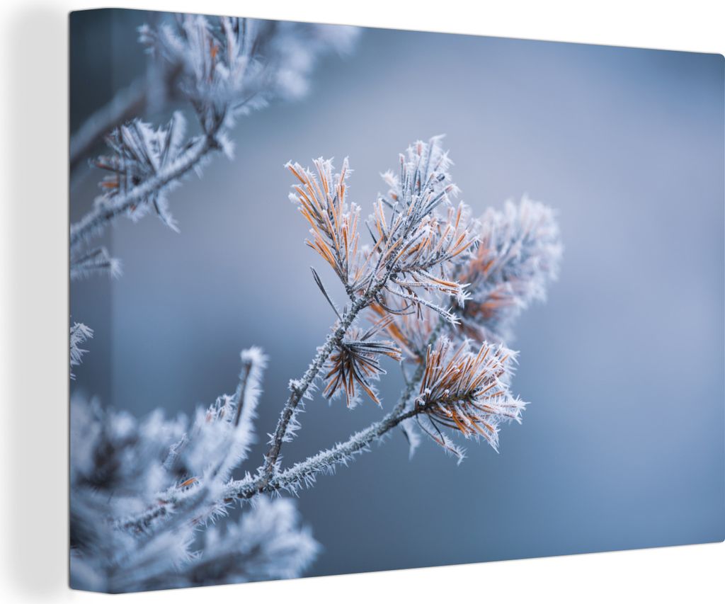 OneMillionCanvasses - Leinwandbilder - 150x100 cm, Kiefernnadeln - Pflanzen - Eis - Schnee - Winter, Wandbilder Kunstdruck Wanddekoration