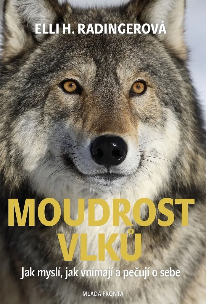 La Sagesse des Loups, livre sur l'empathie et la vie en meute