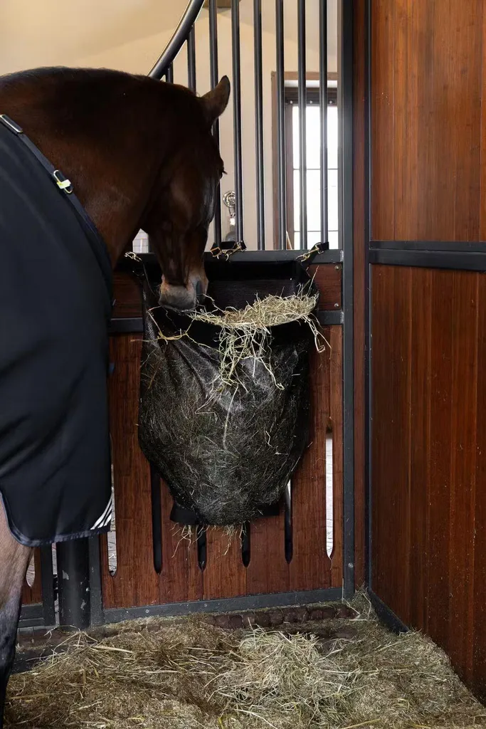 Sac à foin droit noir Kentucky M : évitez le gaspillage dans l'écurie