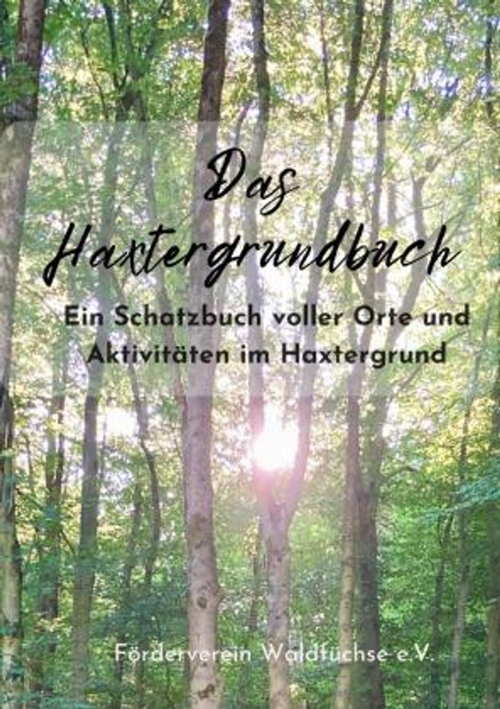 Das Haxtergrundbuch