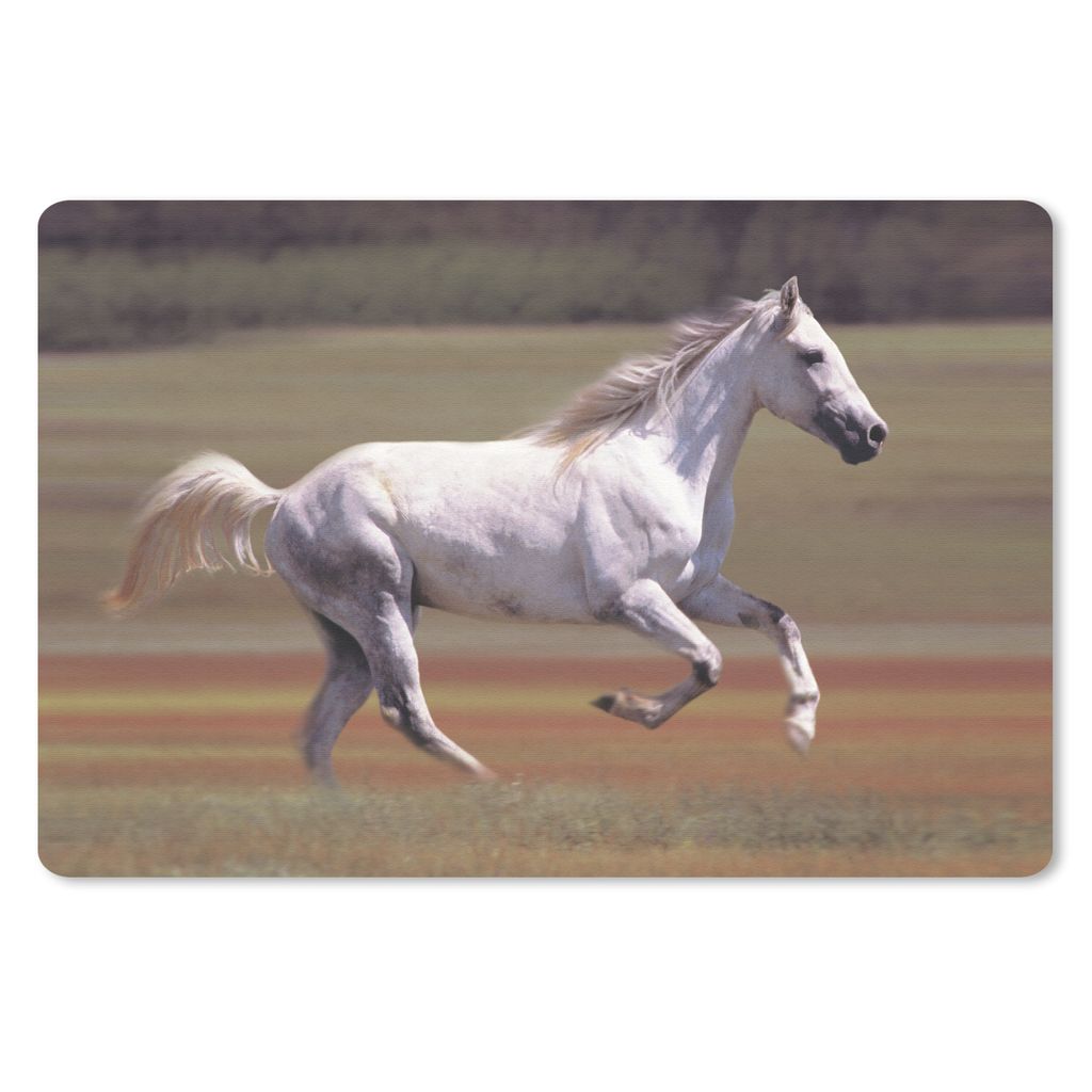 MuchoWow Mauspad Mousepad Pferd - Licht - Gras 27x18 cm - Mousepads - Maus Mat - Pad - Mausunterlage - Büroartikel - Desk Matten