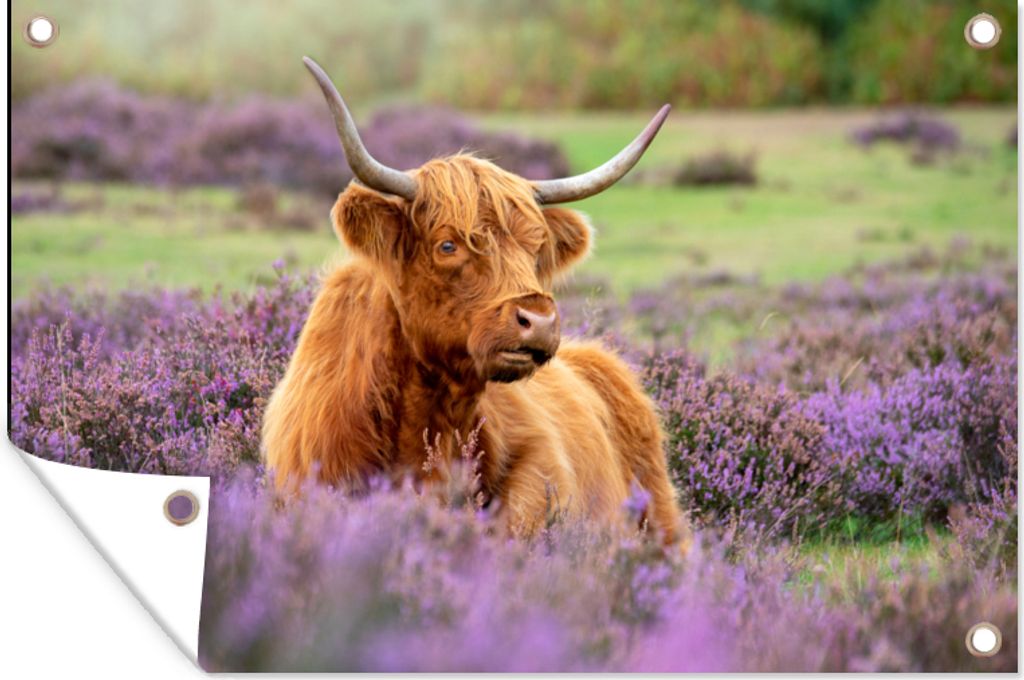 MuchoWow 60x40 cm Outdoor-Poster Gartendeko Sichtschutz Garten Poster für den Garten Schottischer Highlander - Braun - Büsche