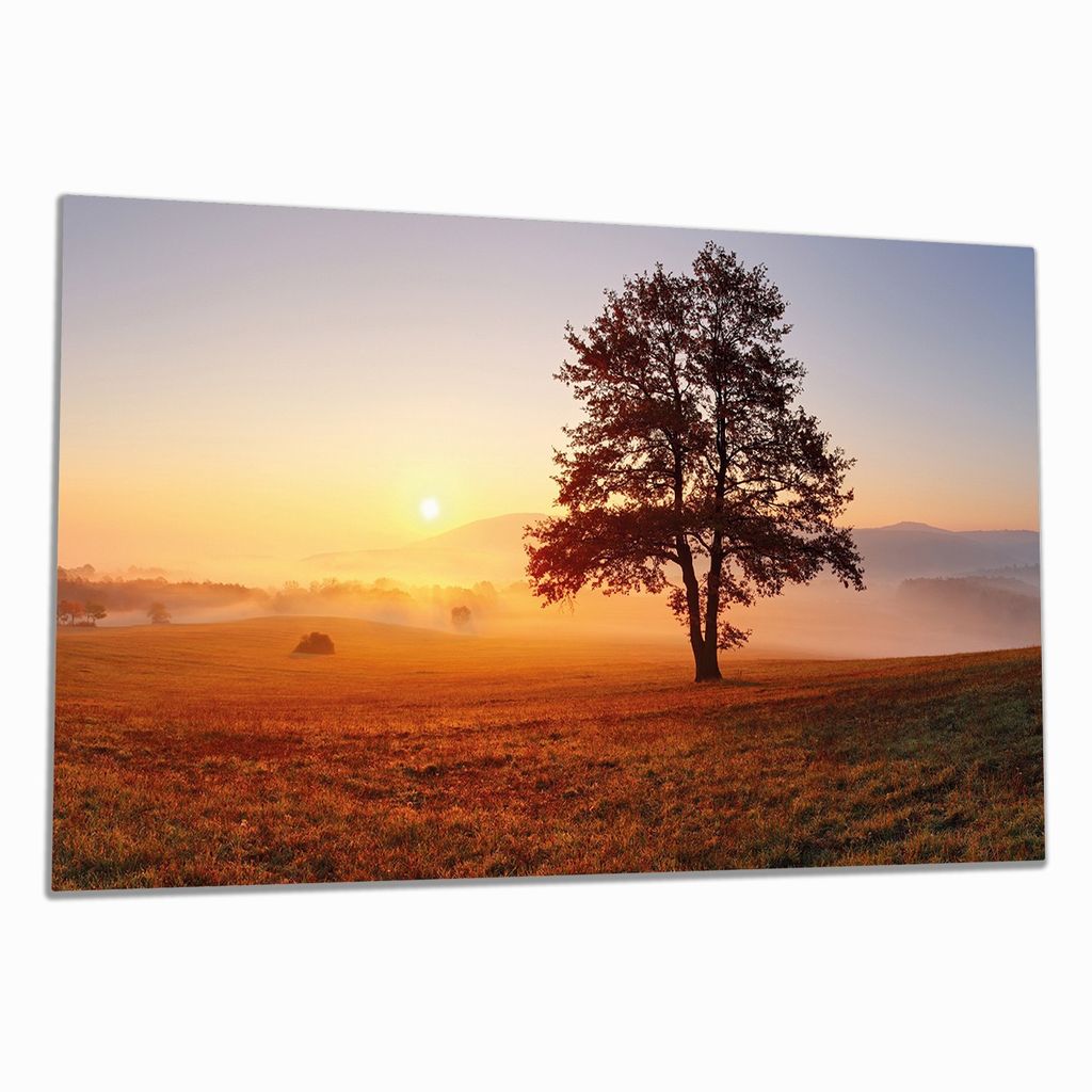 Wallario Herdabdeckplatte aus Glas, Größe 90 x 52 cm 1-teilig, Motiv Sonnenaufgang über der Wiese mit Nebel