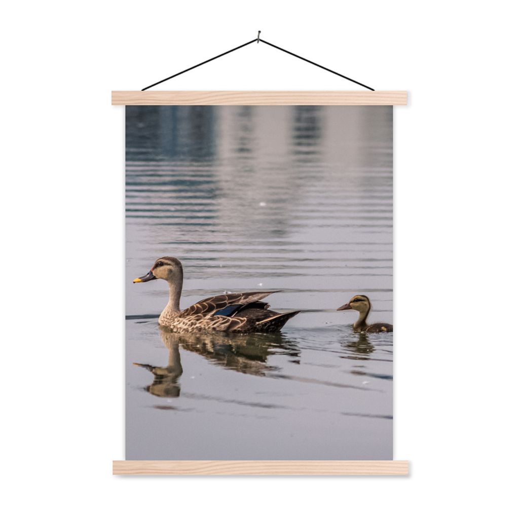 MuchoWow Textilposter Ente - Wasser - Vogel - Braun 60x80 cm mit holzfarbenen Rahmen - Wandbild