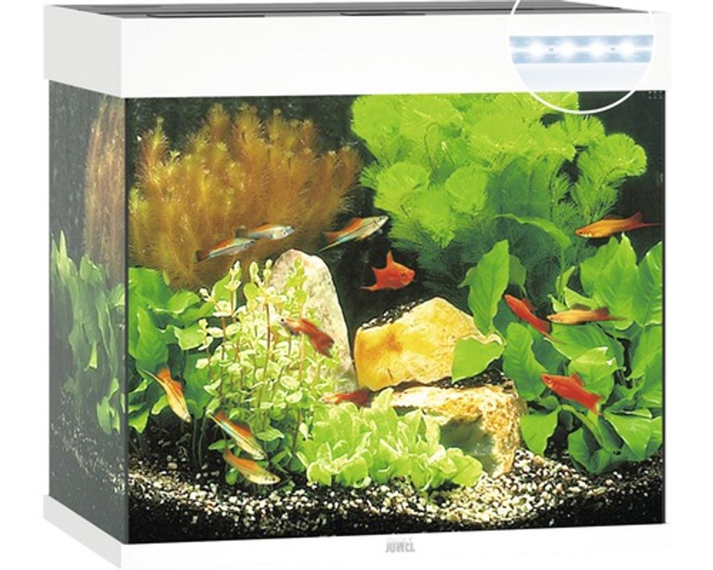 Akvárium set Lido LED 120 bílé 120 l Obrázek produktu 2