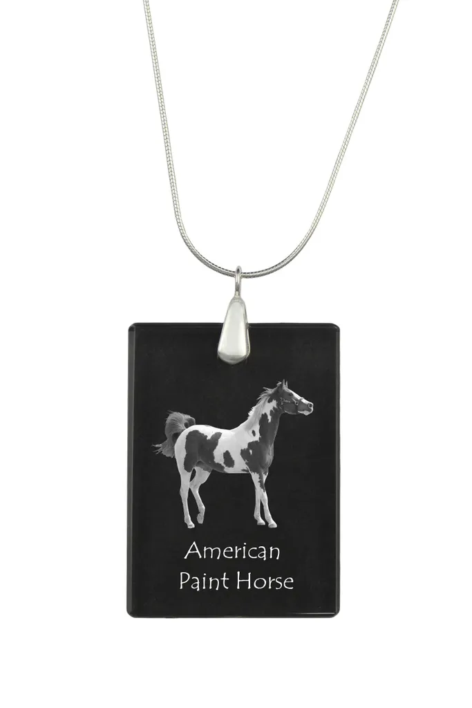 Bijou Cheval Inaltérable : Pendentif American Paint Horse Argent et Photo
