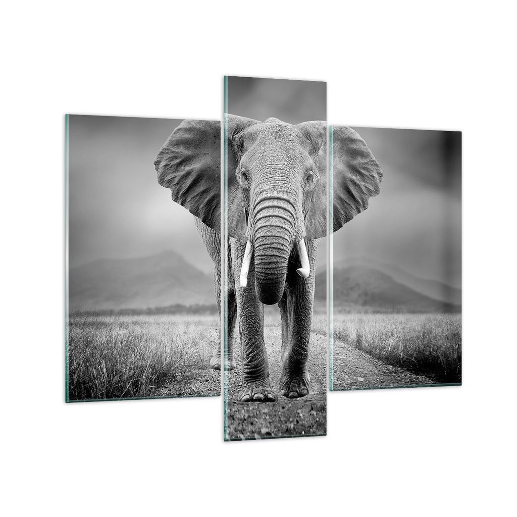 Bilder auf glas - 3 Teile - Elefant Wildnis Natur - 95x80cm - Glasbilder - Wandbilder - Bilder - zum Aufhängen bereit - Wanddekoration aus Glas - ...