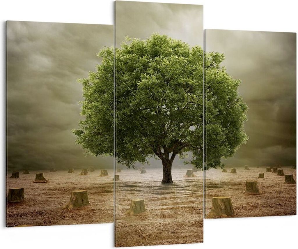 Bild auf Leinwand - Leinwandbild - Baum Feld Umwelt - 130x100cm - Wand Bild - Wanddeko - Leinwanddruck - Bilder - Kunstdruck - Wanddekoration - Lei...