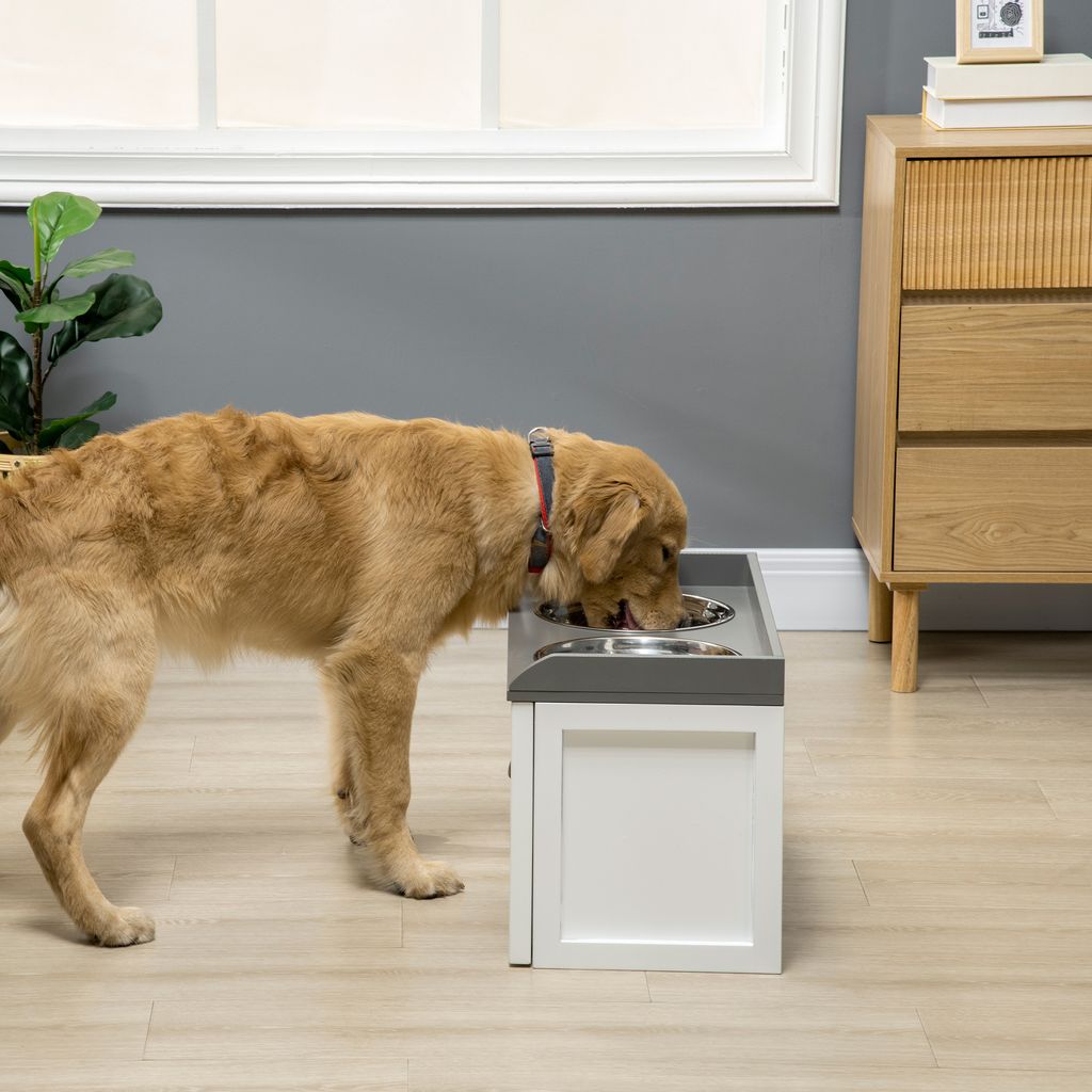 A golden retriever dog is drinking from a raised dog bowl station in a room with a window and a dresser.
