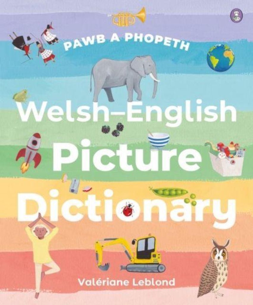 Welsh/english Picture Dictionary – Lingua: Inglese
