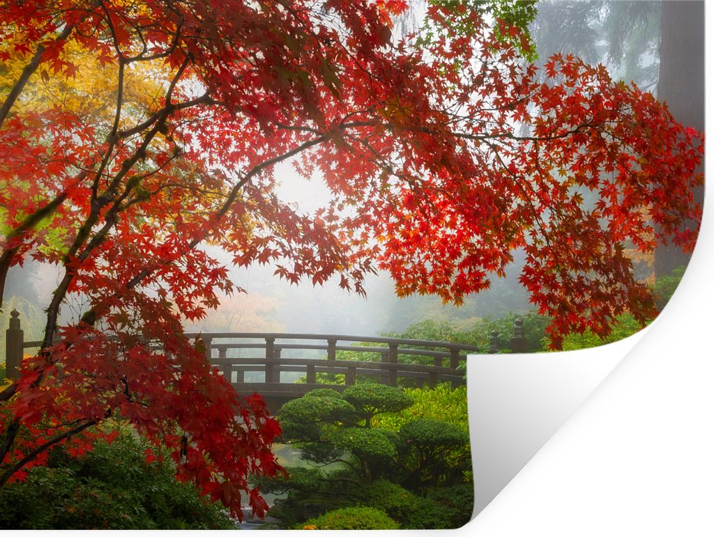 MuchoWow Wandtattoo Wandsticker Wandaufkleber Japanischer Ahorn - Bäume - Brücke - Natur - Japanisch 80x60 cm Selbstklebend und Repositionierba...