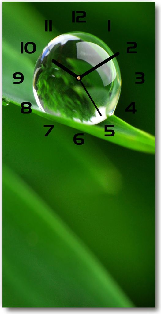 Wanduhr aus Glas – 30x60 cm - Glasbild - Glasuhr - Gehärtetes Glas -Ein Grashalm