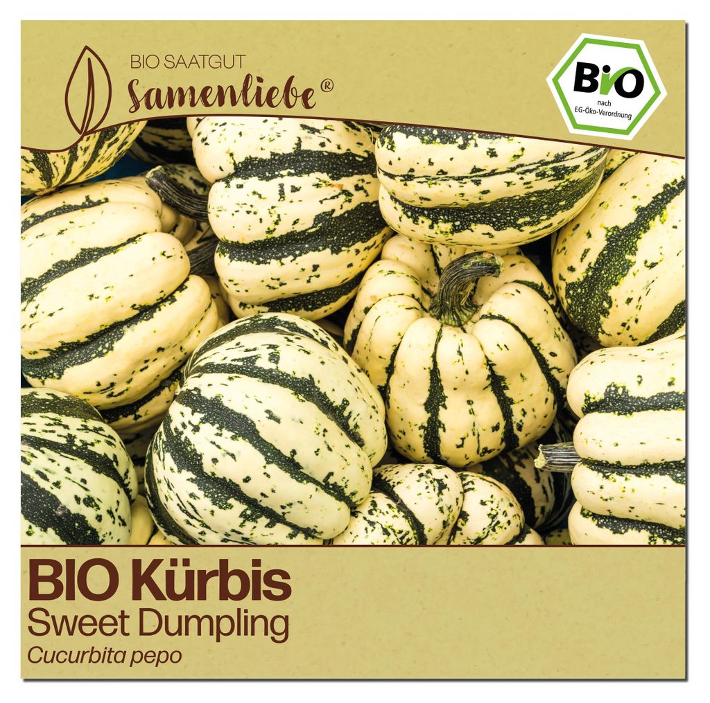 Samenliebe  Kürbis Samen | Sweet Dumpling - klein - Produktbild 