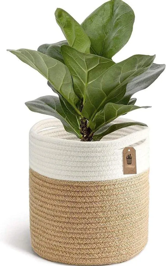 Jardinière suspendue pour balcon et intérieur - Bac de rangement 20cm