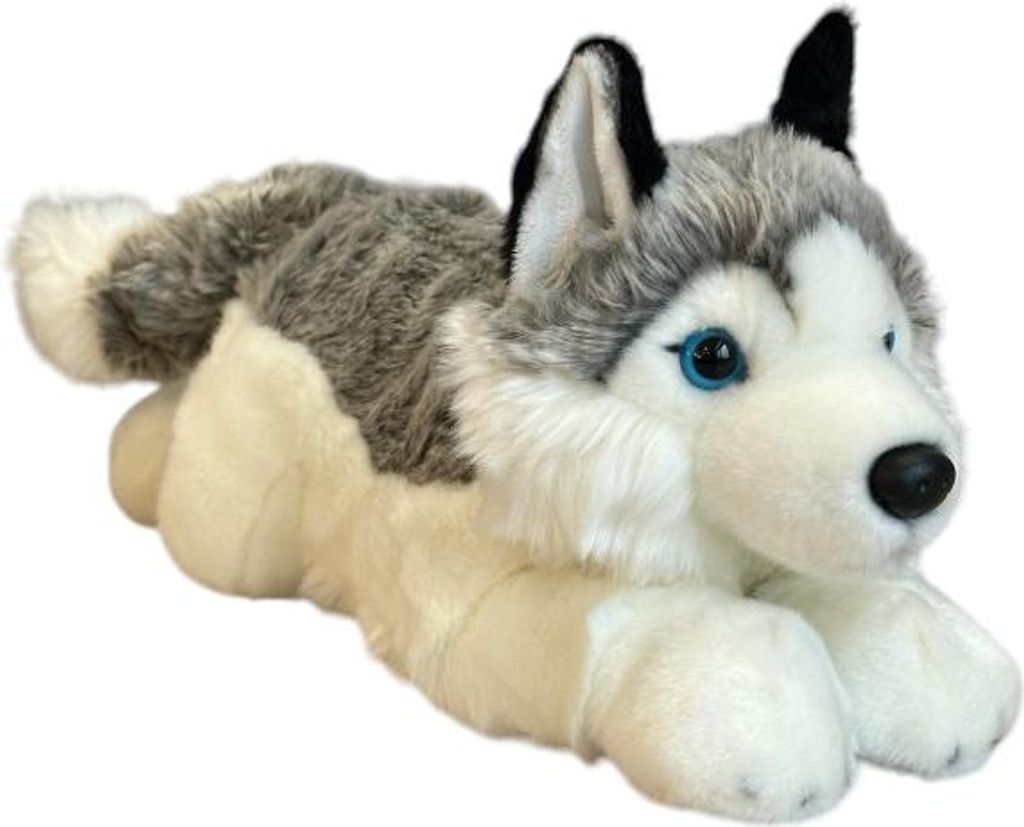 Pies Husky 42cm