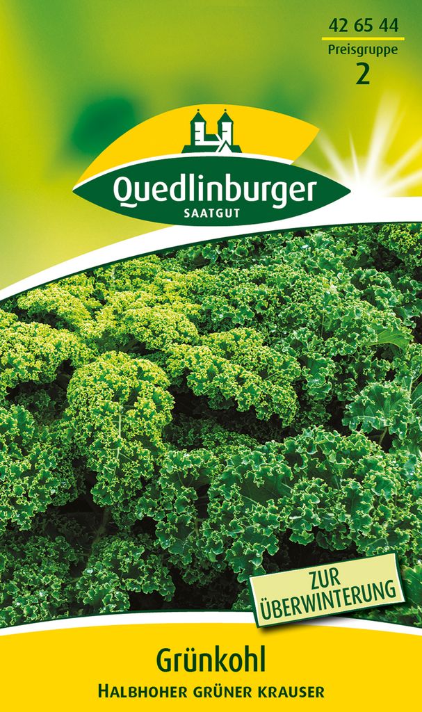 Quedlinburger Saatgut - Grünkohl Halbhoher grüner krauser - Produktbild 