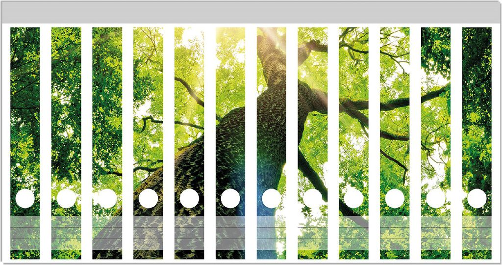 Wallario Ordnerrücken Sticker, selbstklebend für schmale Ordner, 12 Stück, Motiv Laubbaum aus der Froschperspektive