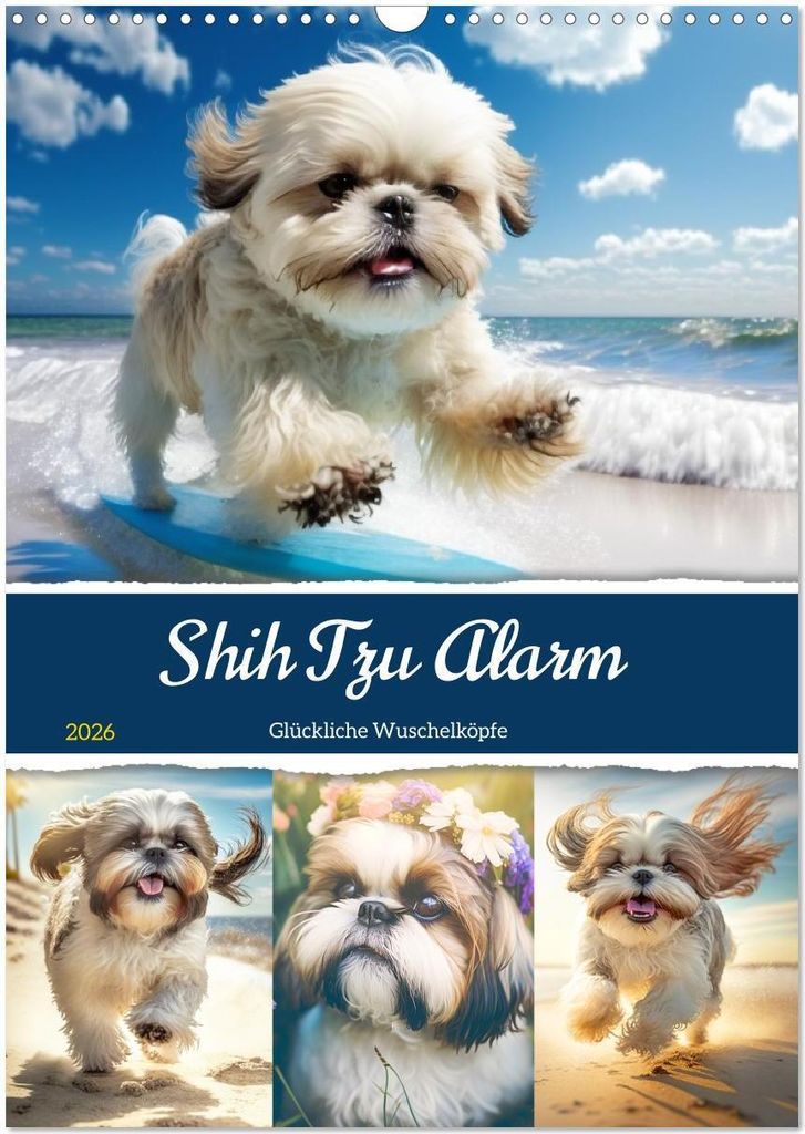 Shih Tzu Alarm. Glückliche Wuschelköpfe (Wandkalender 2026 DIN A3 hoch), CALVENDO Monatskalender