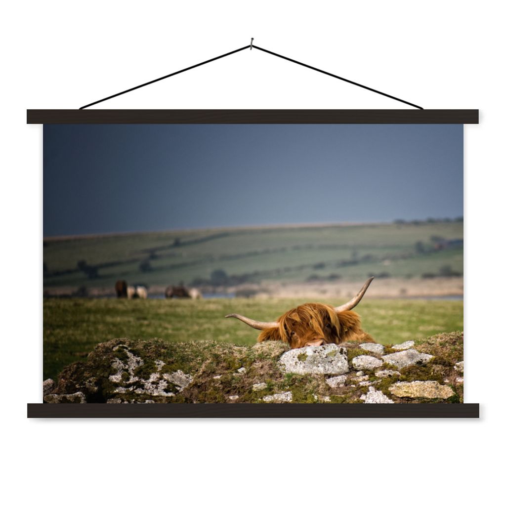 MuchoWow Textilposter Schottische Highlander - Steine - Gras 120x80 cm mit schwarzem Rahmen - Wanddeko