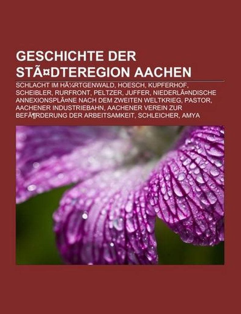 Geschichte der Städteregion Aachen