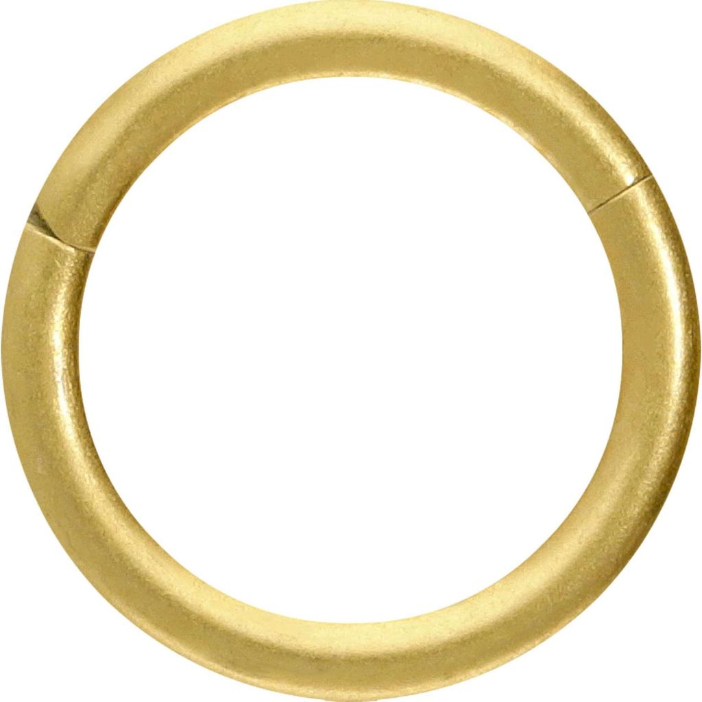 Ohrpiercing, Nasenpiercing, Septum Piercing Titan Segmentring Clicker MATT Gold Innendurchmesser: 6mm + Stabstärke: 0,8mm