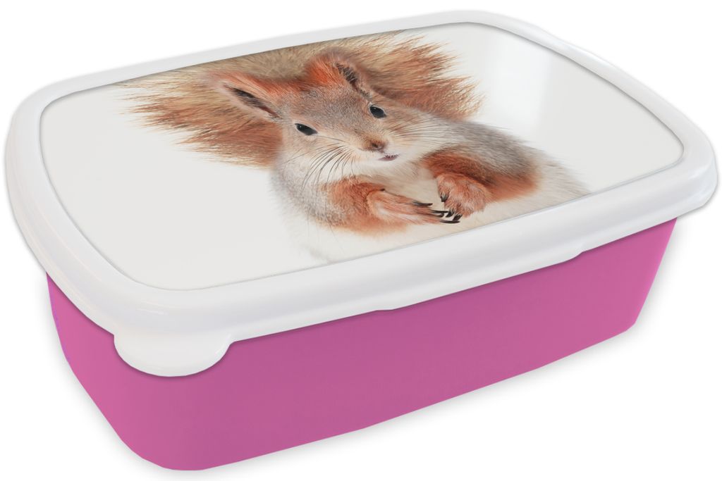 KitchenYeah Lunchbox Brotzeit Brotdose 17x11 cm Eichhörnchen - Tiere - Natur - Orange - Weiß Kinder Brotzeitdose - Lunchpaket - Brotkasten - S...