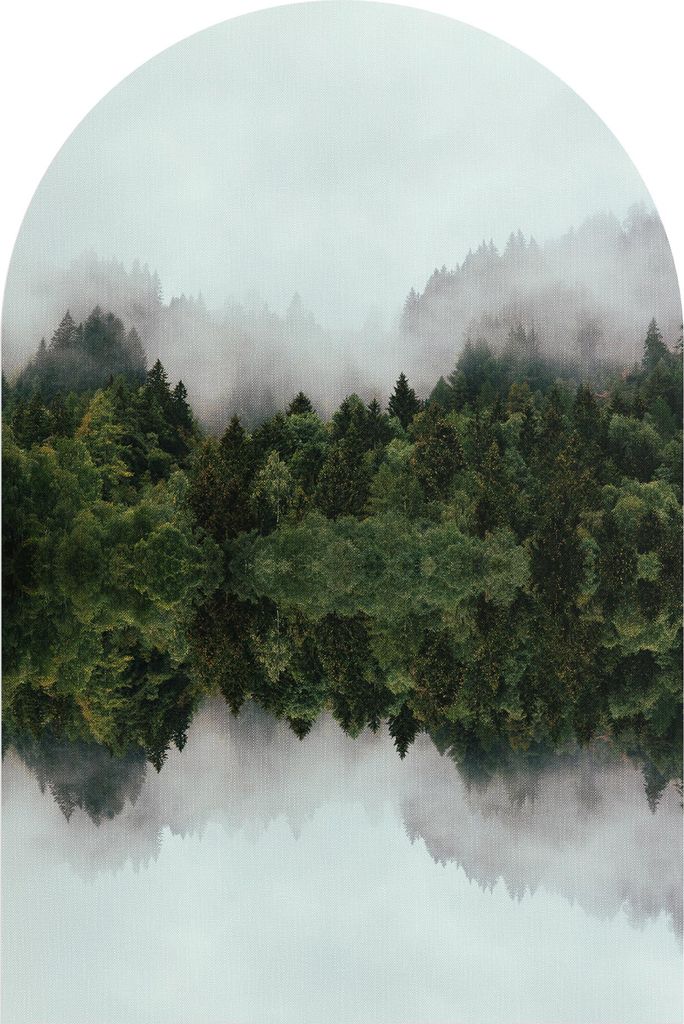 DEQORI Fototapete Rundbogen 60x90 cm 'Grüne Reflexionen' Wand Tapete Leinwand Sticker