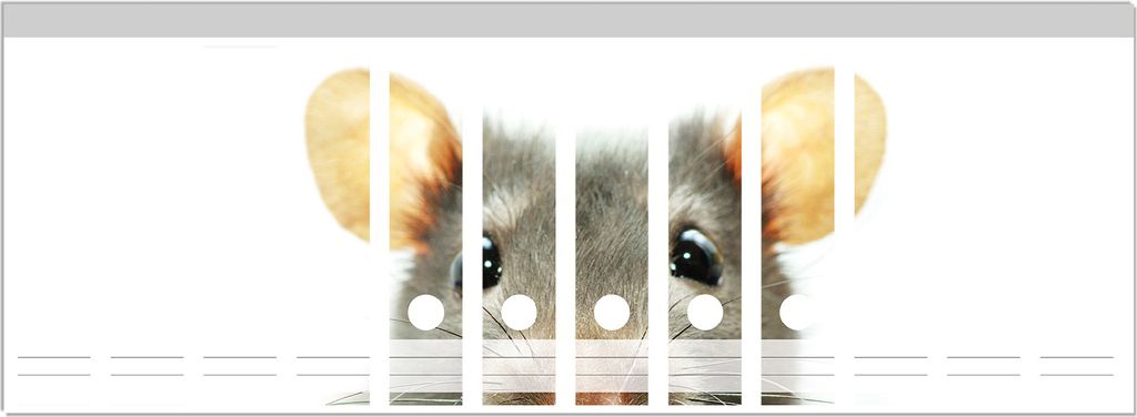 Wallario Ordnerrücken Sticker, selbstklebend für breite Ordner, 12 Stück, Motiv Maus am Tellerrand