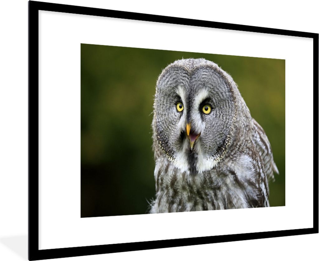 MuchoWow MuchoWow Gerahmtes Poster Vogel - Eule - Grau 90x60 cm - Poster mit zchwarzem Bilderrahmen - Wanddekoration - Fotos