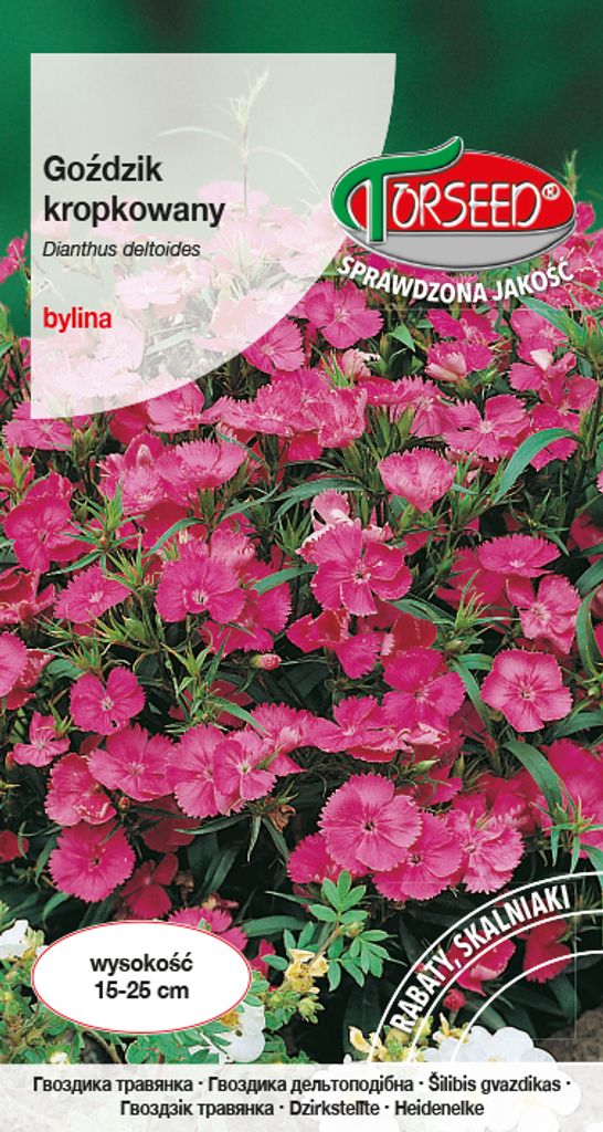 Rosa gepunktete Nelke Samen 0.5g - Torseed Produktbild 