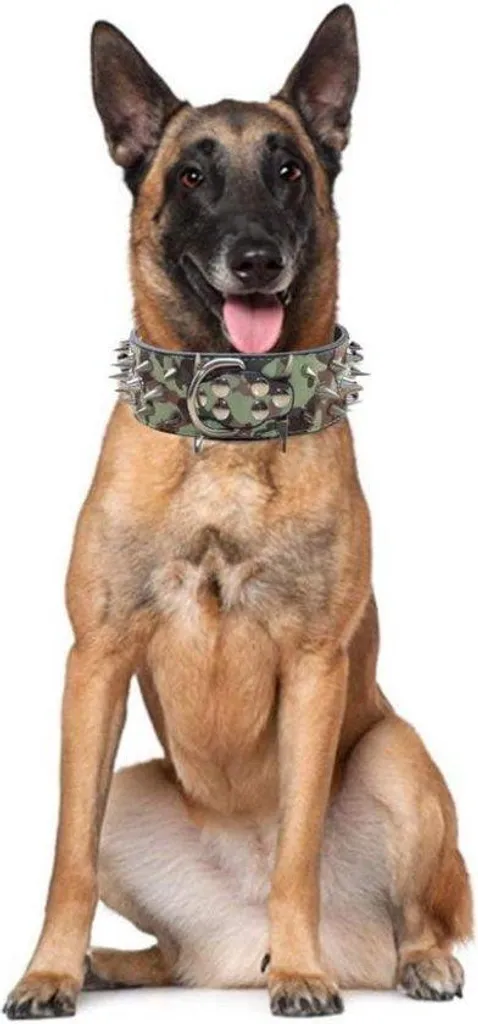 Collier en cuir à pointes 55cm pour Pitbull et Rottweiler - Brun Doré