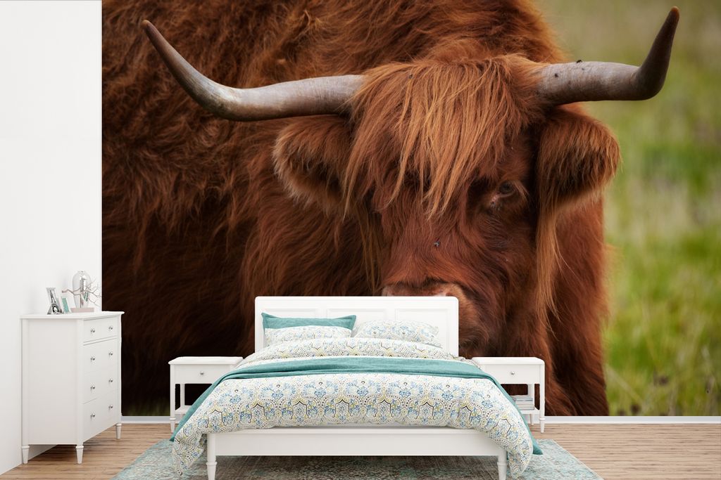 MuchoWow Fototapete für Wohnzimmer oder Schlafzimmer Wandtapete Vinyl Motivtapete Schottischer Highlander - Orange - Tiere - 450x300 cm - Gemust...
