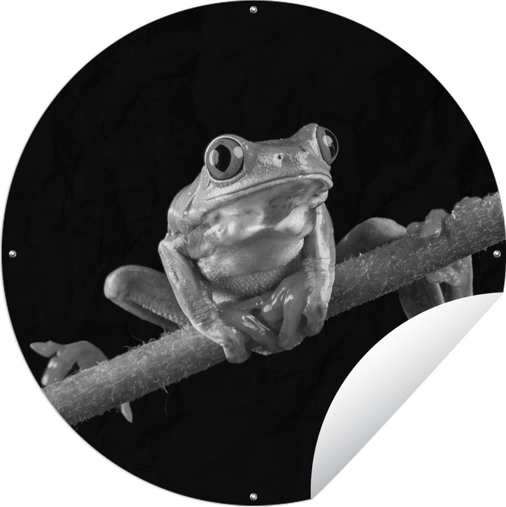 MuchoWow Gartenposter Outdoor-Poster Rund Frosch - schwarz und weiß Ø 150 cm Gartendeko Rundes Poster draußen