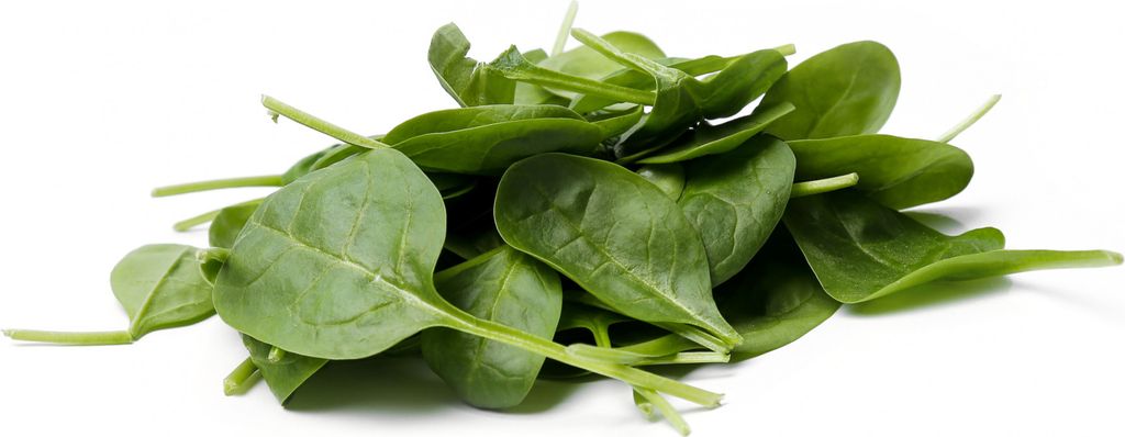 Toraf Gemüsesamen Neuseeländischer Spinat, Packung 5g