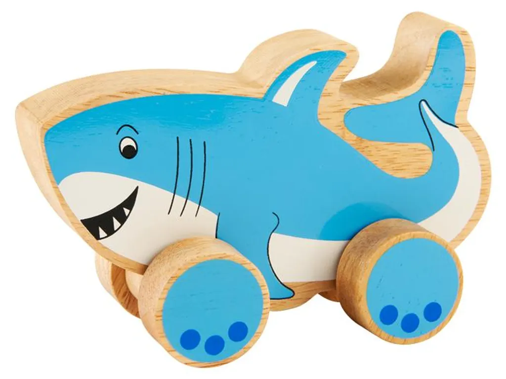Requin Éducatif en Bois Artisanal - Jouet à Pousser Multicolore 15cm