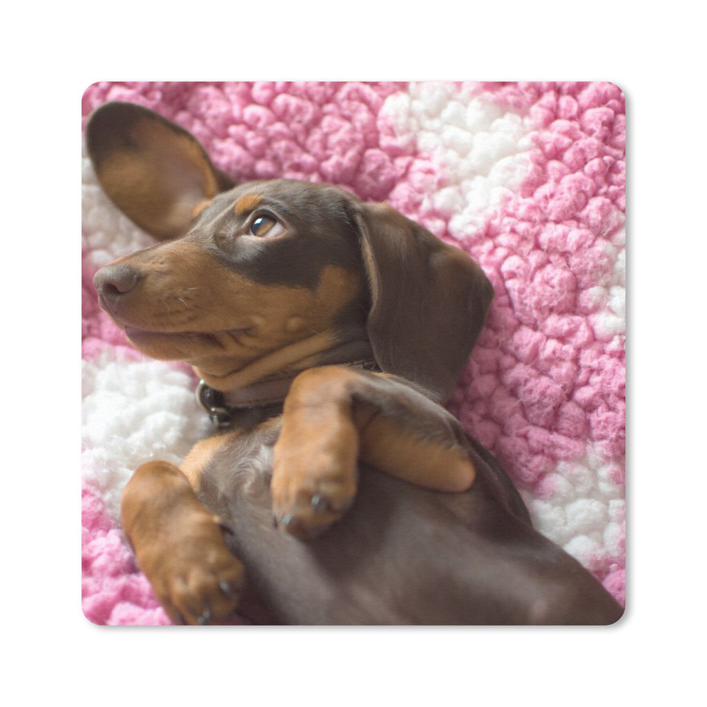 MuchoWow Mauspad Mousepad Ein Dackelwelpe auf einer rosa Decke 30x30 cm - Mousepads - Maus Mat - Pad - Mausunterlage - Gaming