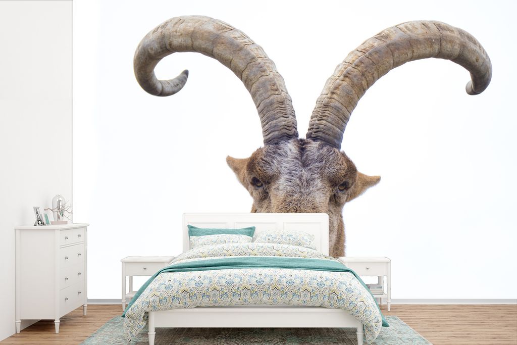 MuchoWow Fototapete für Wohnzimmer oder Schlafzimmer Wandtapete Vinyl Motivtapete Steinbock - Tiere - Hoorn - 600x400 cm - Vinyltapeten