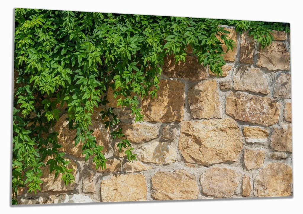 Wallario Herdabdeckplatte aus Glas, Größe 80 x 52 cm 1-teilig, Motiv Natursteinwand mit Ranken