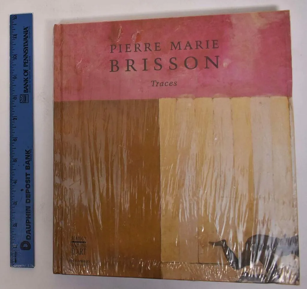 Livre Pierre Marie Brisson: Traces - Monographie Art Contemporain Rare