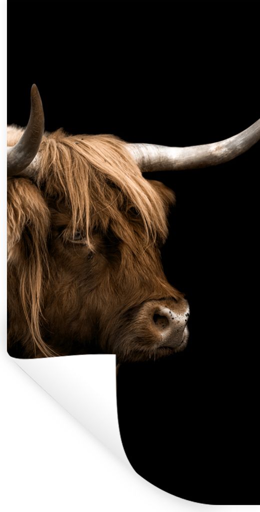 MuchoWow Wandtattoo Wandsticker Wandaufkleber Schottischer Highlander - Kuh - Schwarz 60x120 cm Selbstklebend und Repositionierbar - Selbstkleben...