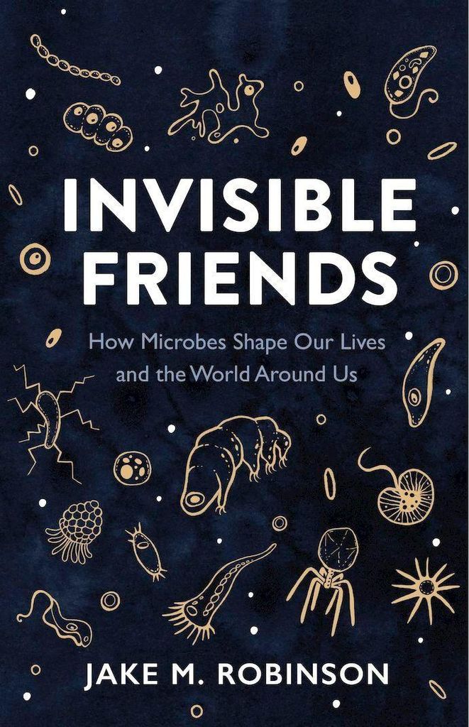 Invisible Friends