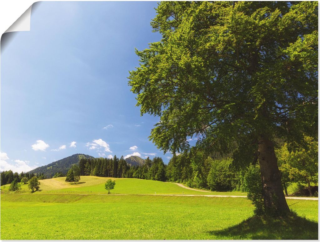 ARTland Poster Bayrische Landschaft Größe: 40x30 cm